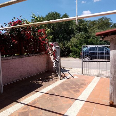 Villa Sa Minda Noa 2 Camere 2 Bagni Aria Condizionata E Giardino Olbia Exterior foto
